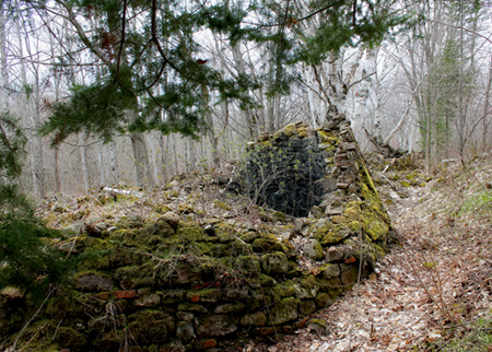 moss covered charcoal kiln remains